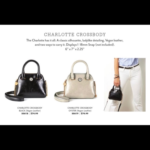 Charlotte Crossbody Bag in Oyster Color - Picture 2 of 3
